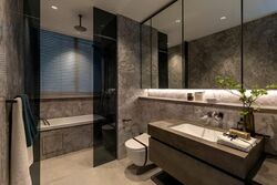 Kim Seng Promenade (D9), Condominium #548489811